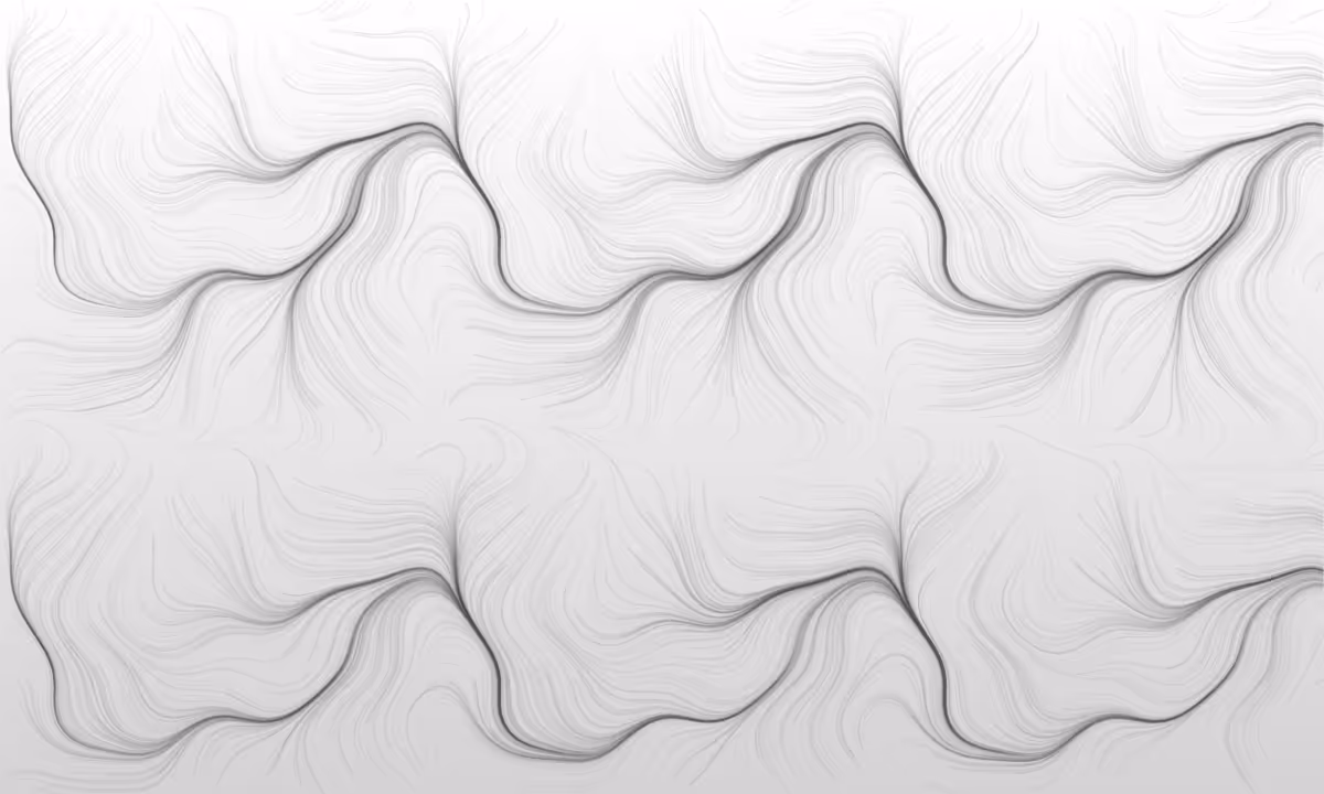 Flow Field