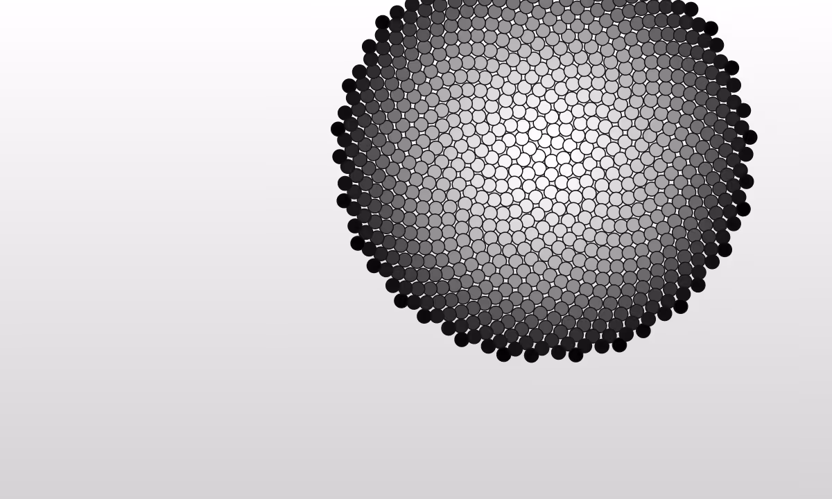 Phyllotaxis